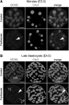 <b>FIG. 2.</b>
