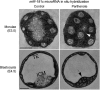 <b>FIG. 10.</b>