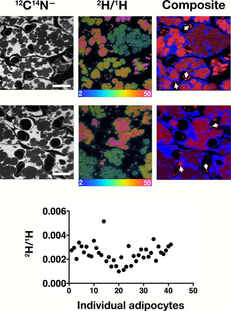 Fig. 2.