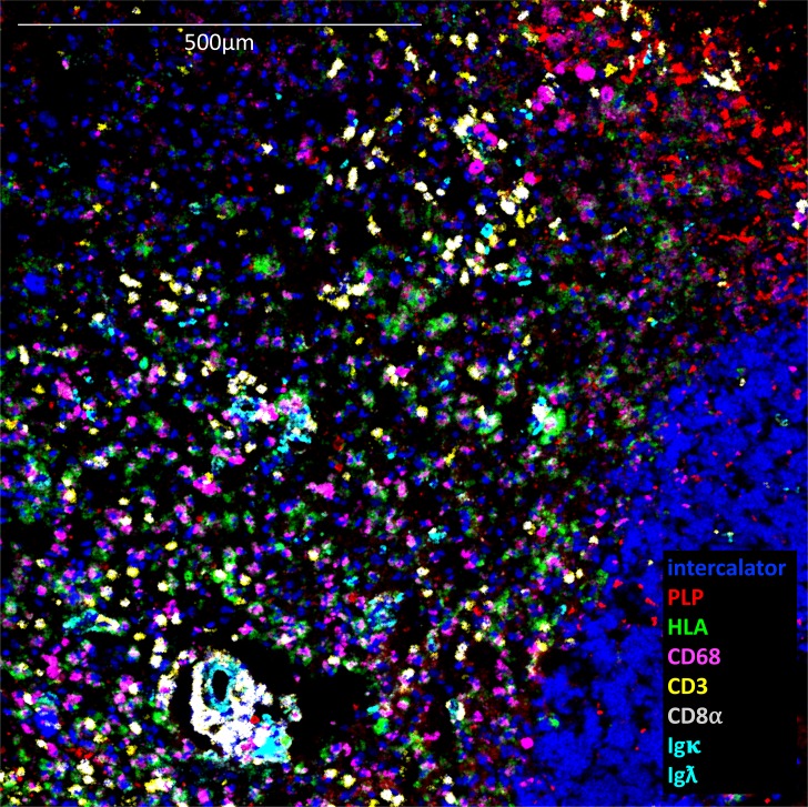 Figure 2—figure supplement 1.