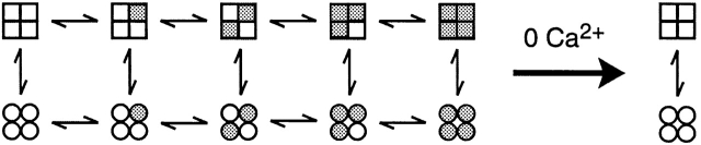 Scheme S1