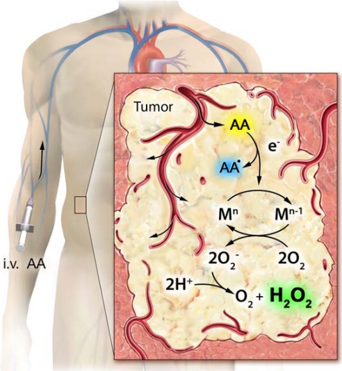 Fig. 4.