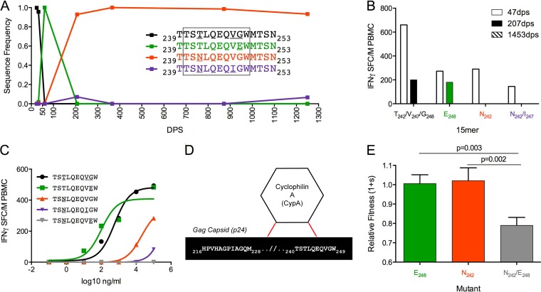 FIG 6