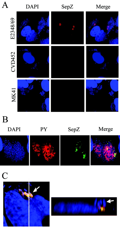 FIG. 6.