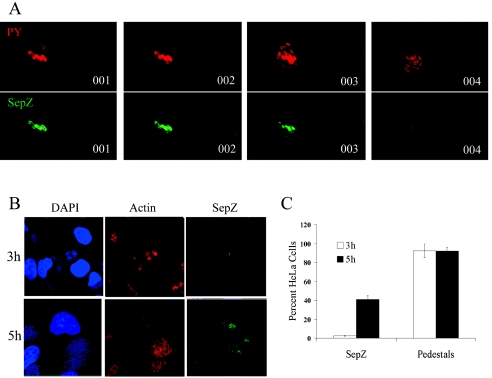 FIG. 7.