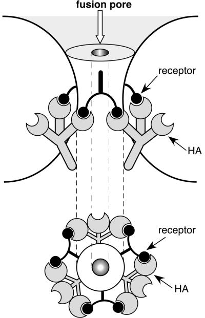 FIG. 11.