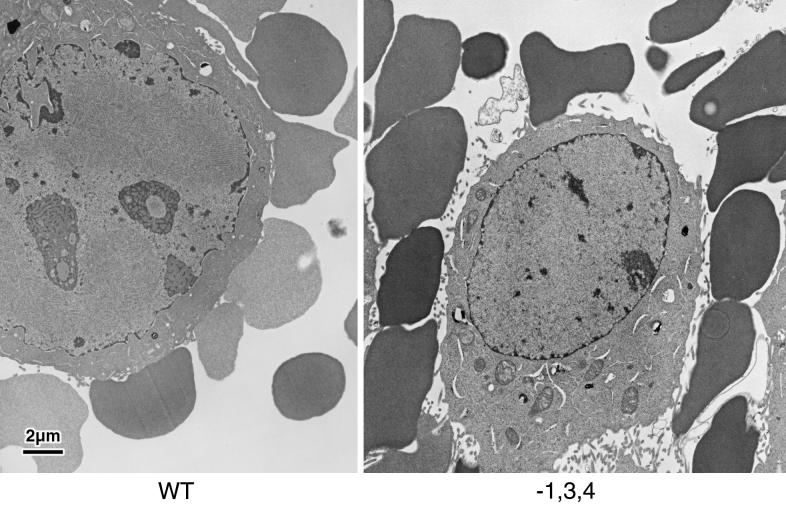 FIG. 10.