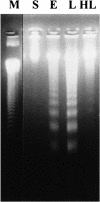 Fig 2.