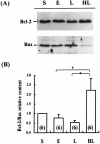 Fig 5.