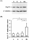 Fig 4.