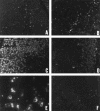 Fig 3.