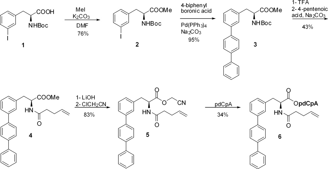 Scheme 1