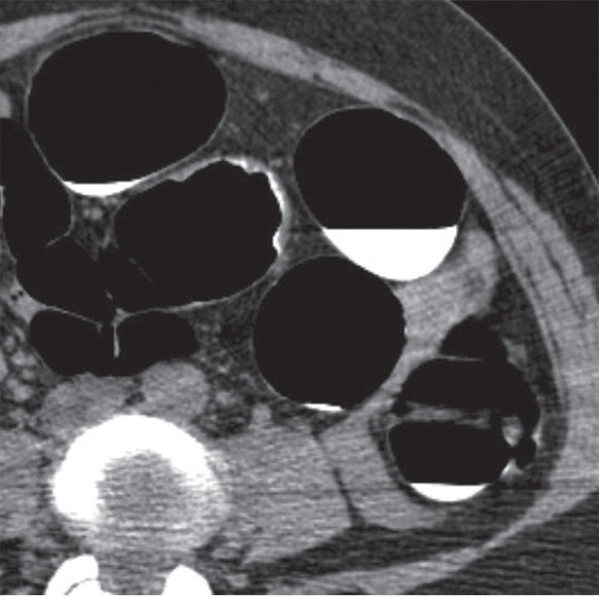 Figure 4c: