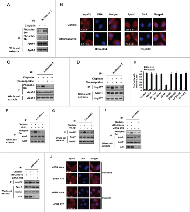 Figure 3 (See previous page).