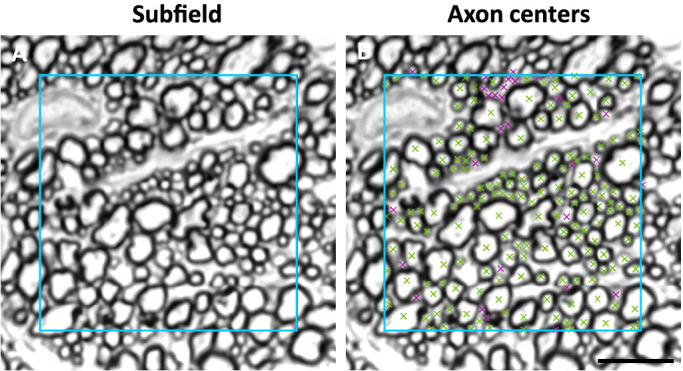 Figure 10.