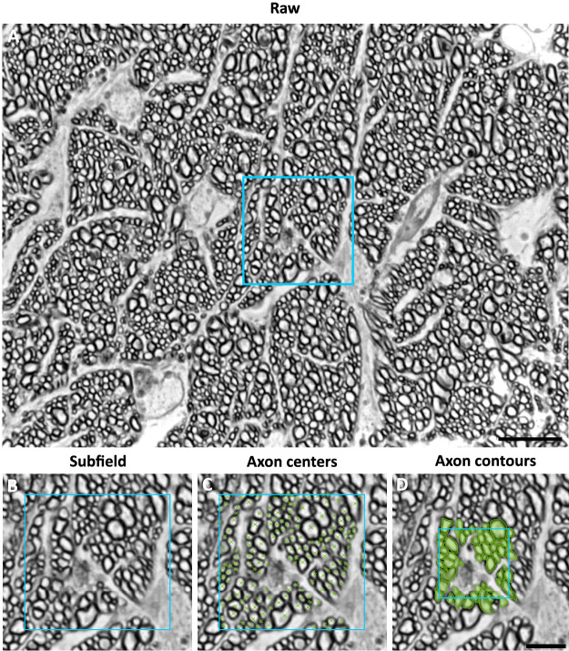 Figure 3.