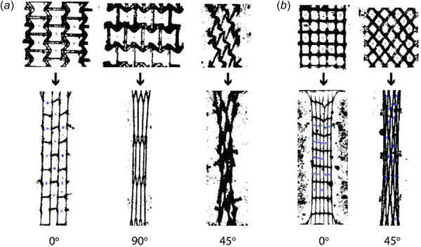 Change in pore shape over course of monotonic tensile testing (a) bowtie membrane under 90 deg, 0 deg, and 45 deg loading from left to right and (b) square membrane under 0 deg and 45 deg loading from left to right