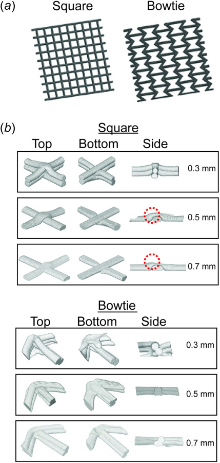 (a) CAD rendering of to-be-printed membranes and (b)micro-CT rendering of printed membranes