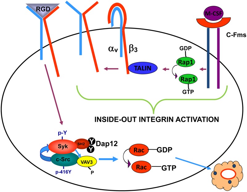 Fig 12