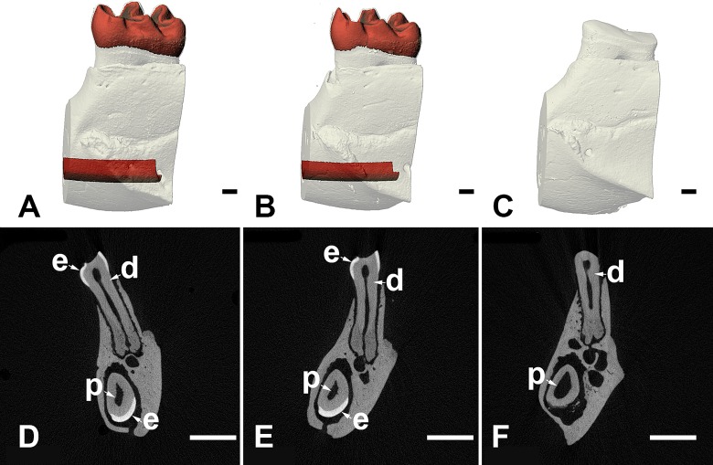 Fig 5