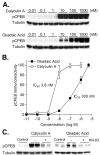 Figure 5.