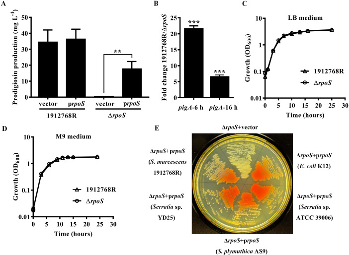 Fig 4