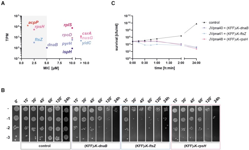 Figure 6.