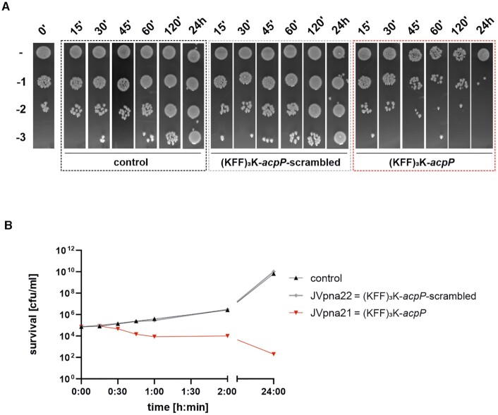 Figure 3.