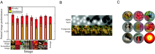 Fig. 4.