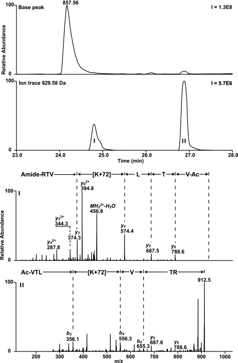 FIGURE 10.