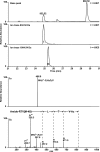 FIGURE 11.