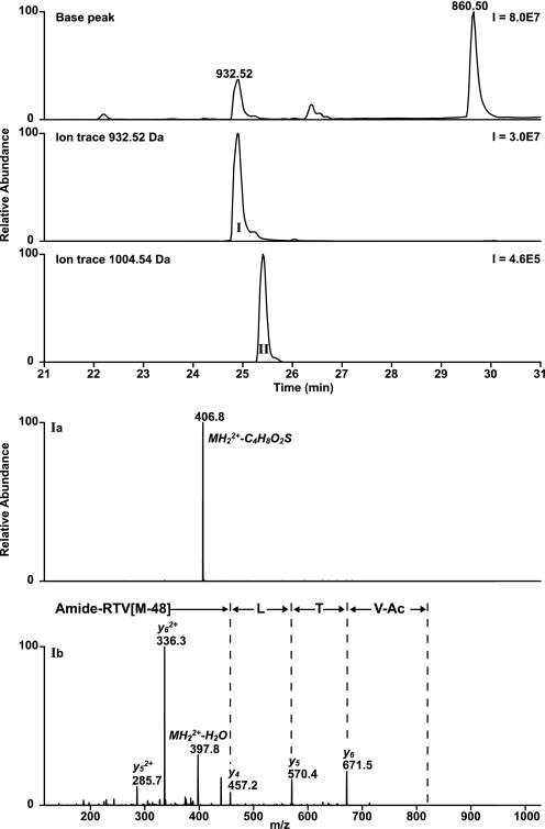 FIGURE 11.