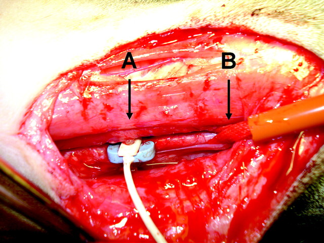 Fig 1.