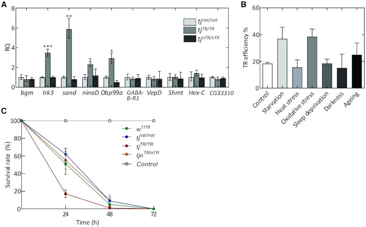 Figure 5.