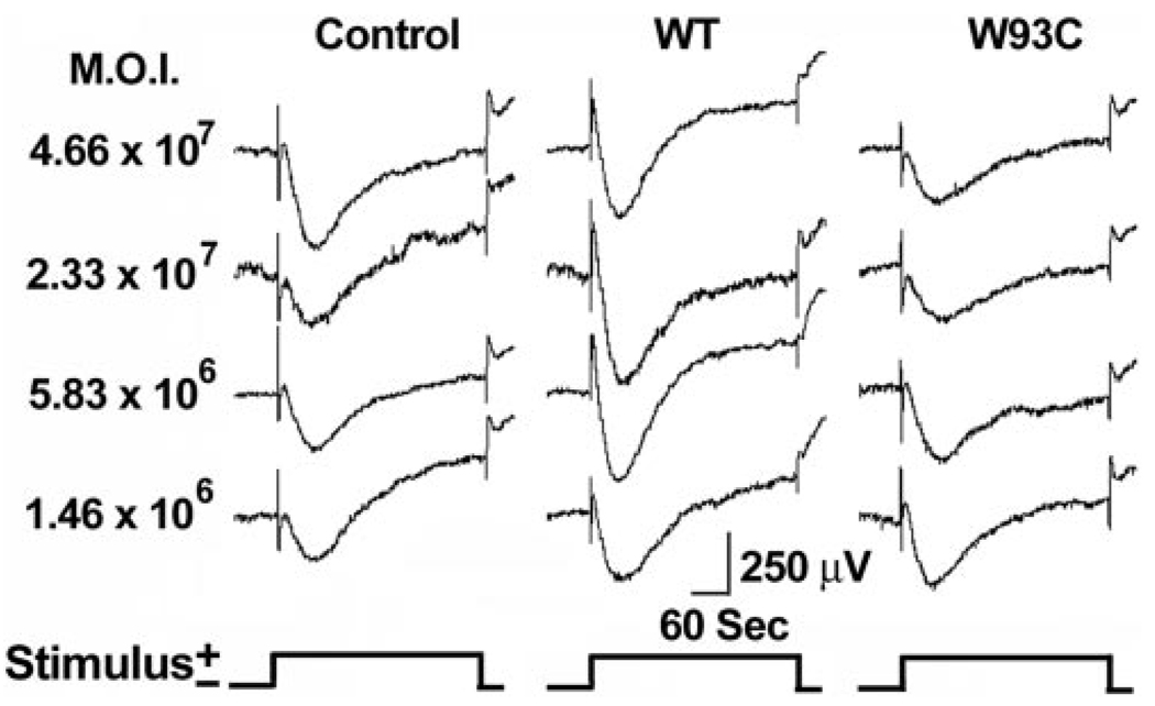 FIGURE 3