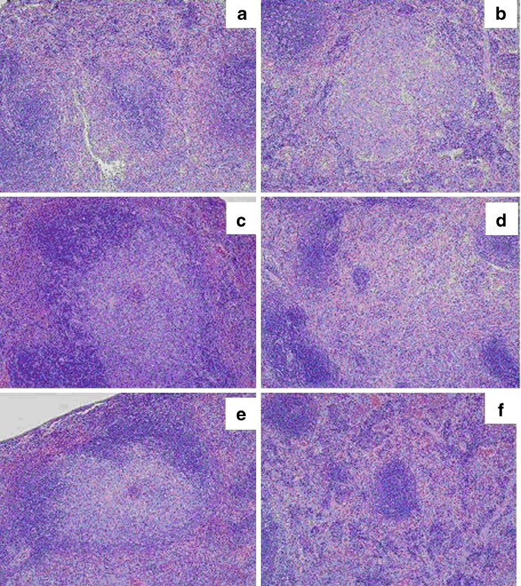 Fig. 5