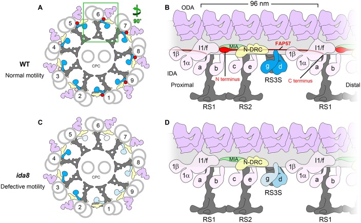 FIGURE 10: