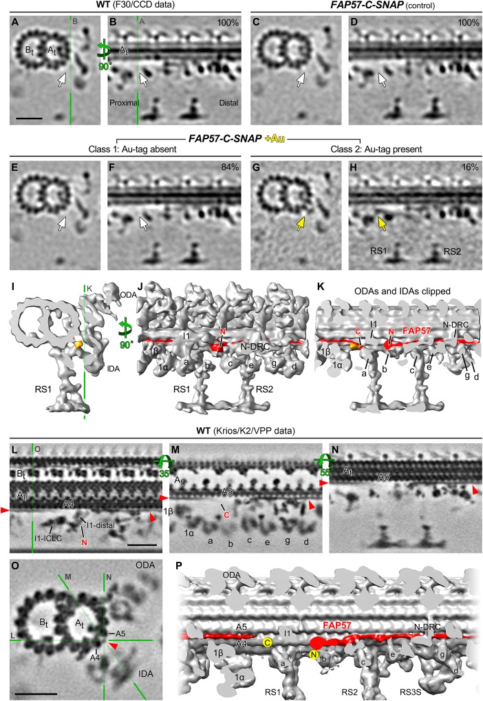 FIGURE 9: