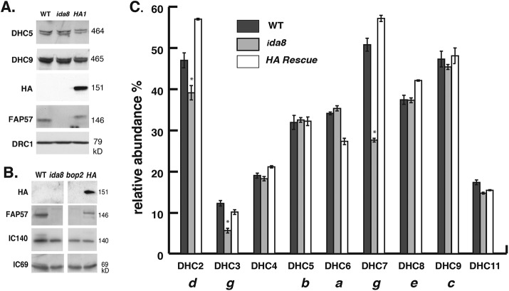 FIGURE 5: