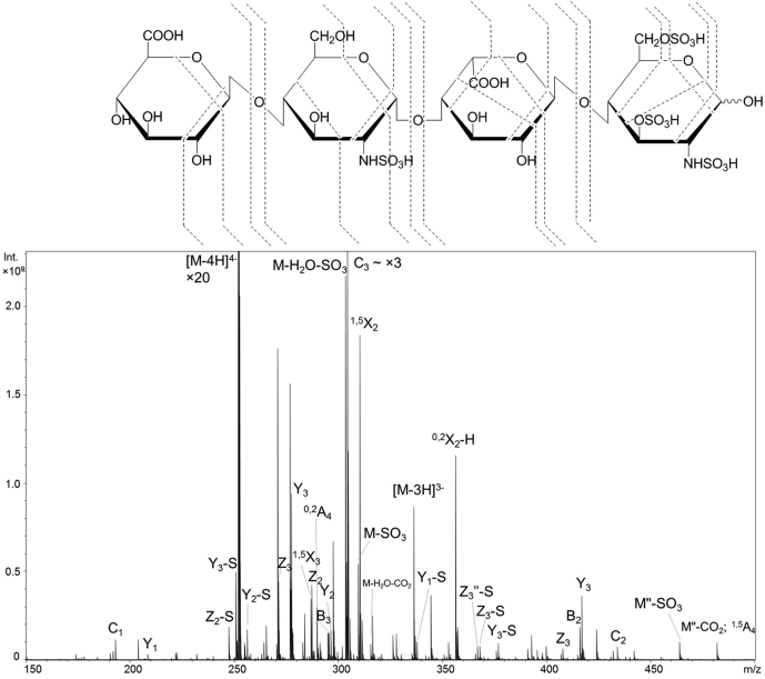 Fig. 7