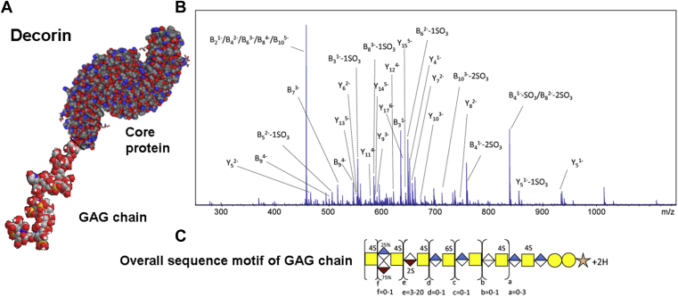 Fig. 11