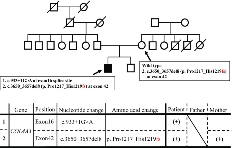 Fig. 4