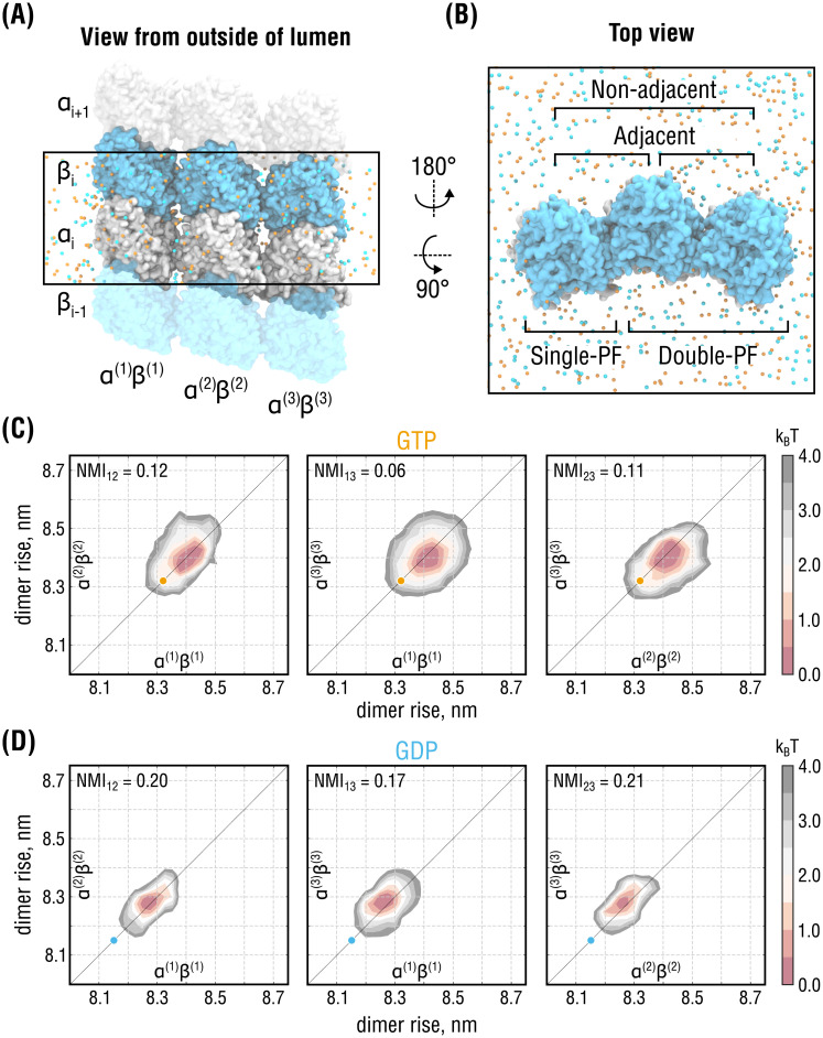 Fig 5