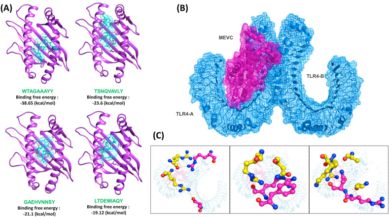 Fig. 4