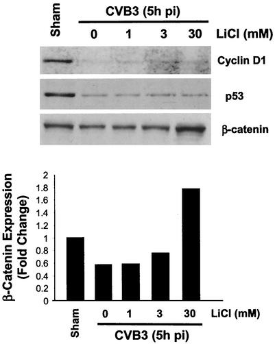 FIG. 7.