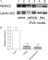 <b>Figure 4.</b>