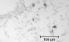 <b>Figure 2.</b>