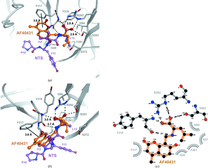 Figure 5