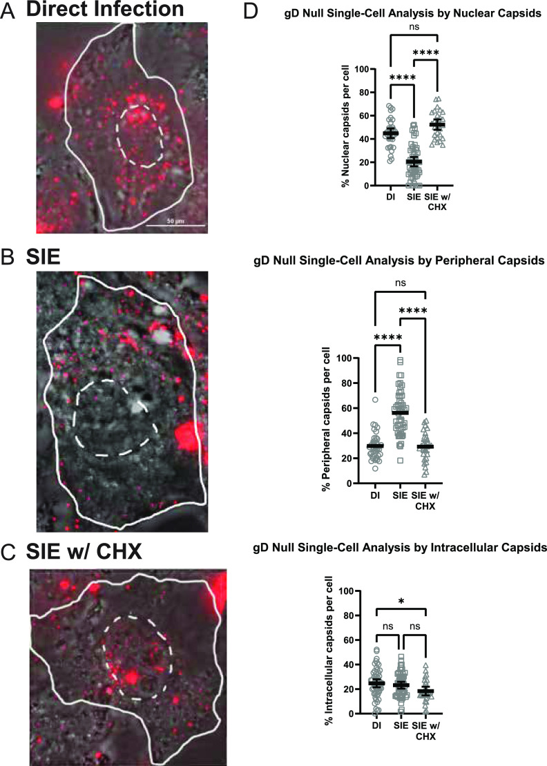 FIG 6