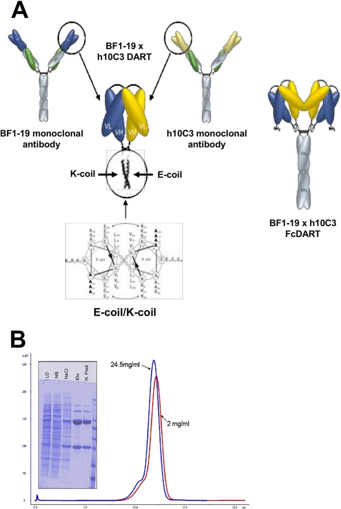 FIG 1